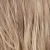 R10/24/80 - Medium Ash Brown with Pale Golden Blonde & Palest Blonde Highlights