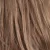 R12/26H - Light Brown with Golden Blonde Highlights on Top