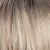 RH1488RT8 - Dark Blonde with Lightest Blonde Highlights & Golden Brown Roots