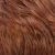 R133/24H - Auburn Bright Red with Pale Golden Blonde Highlights