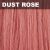 DUST ROSE