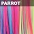 PARROT