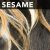 SESAME